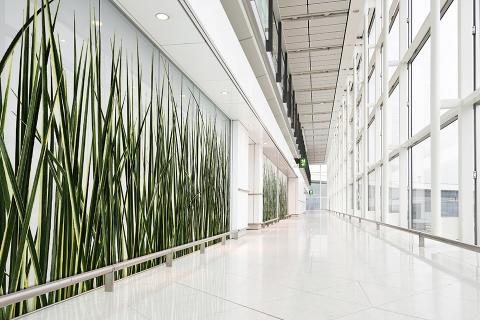 Partition wall in ViviSpectra Zoom glass with Silver Dragon Grass interlayer